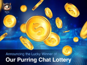 Purring Chat Lottery