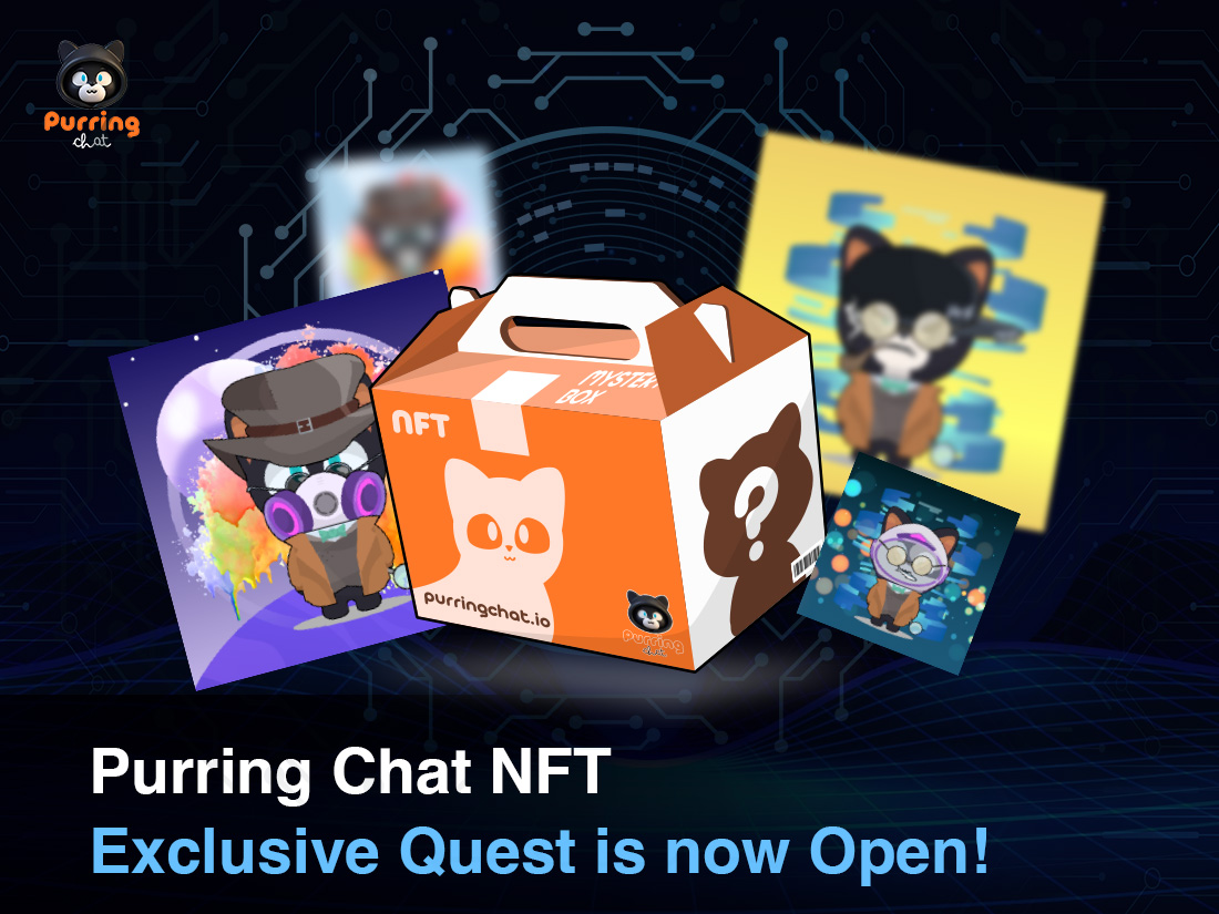 Purring Chat NFT Quest