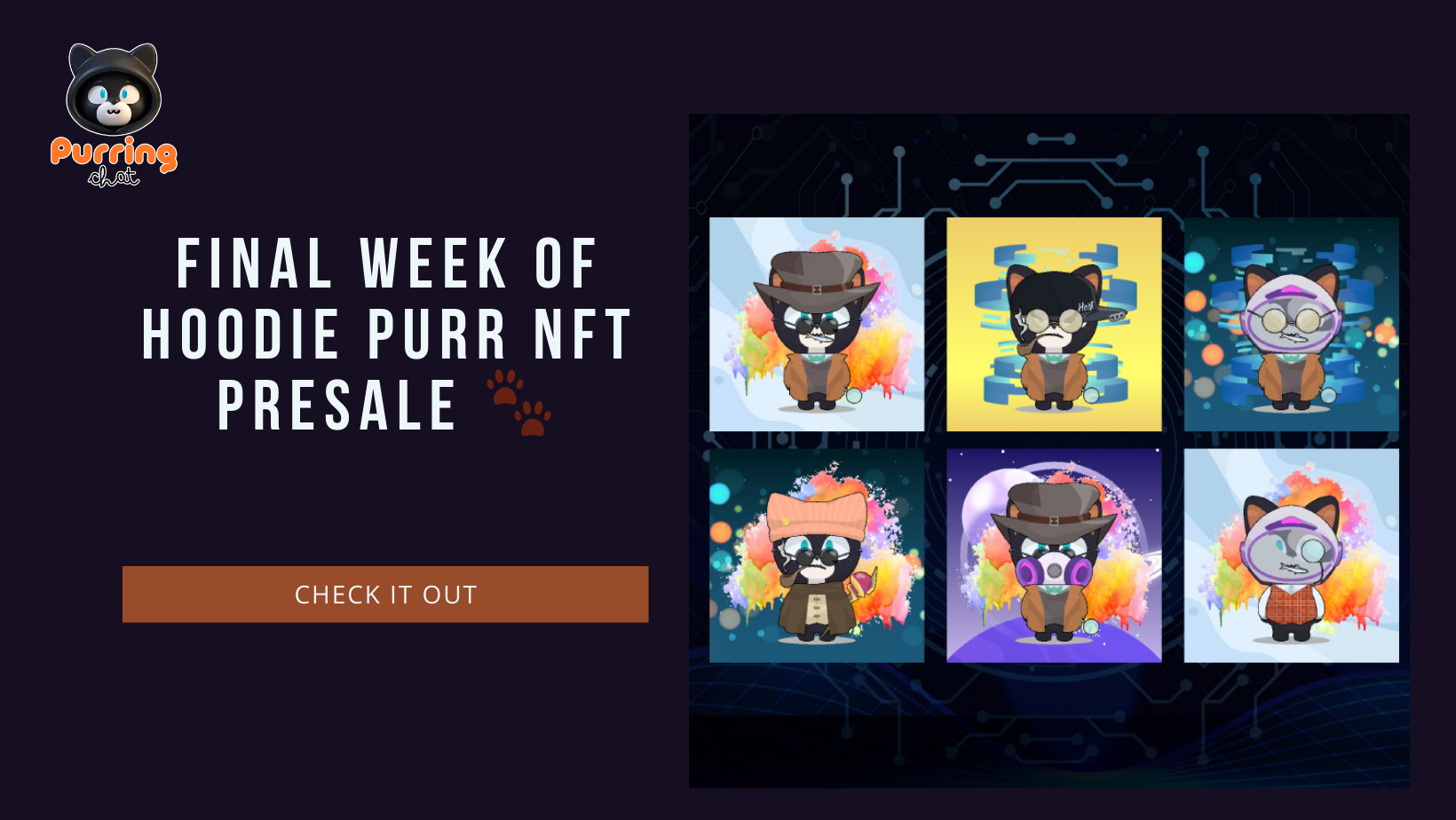 Purring Chat NFT Presale