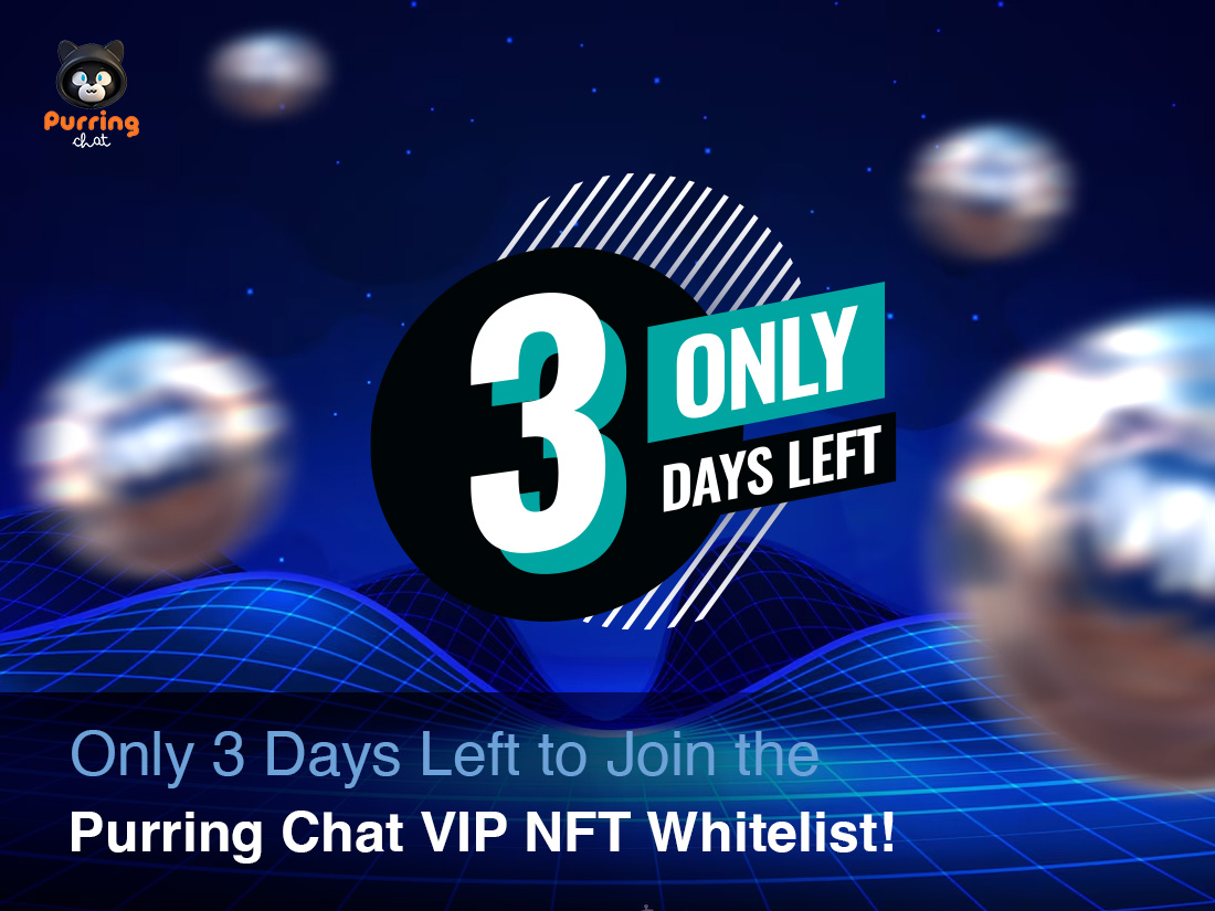 Purring Chat NFT Whitelist