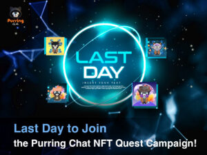 Purring Chat NFT Quest