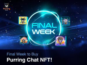 Purring Chat NFT Last Chance